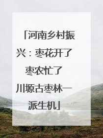 河南乡村振兴：枣花开了 枣农忙了 川塬古枣林一派生机