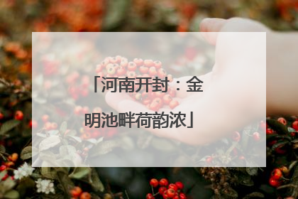 河南开封：金明池畔荷韵浓