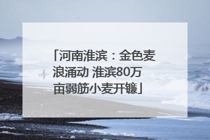 河南淮滨：金色麦浪涌动 淮滨80万亩弱筋小麦开镰