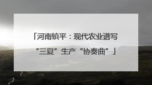 河南镇平：现代农业谱写“三夏”生产“协奏曲”