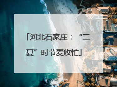 河北石家庄：“三夏”时节麦收忙