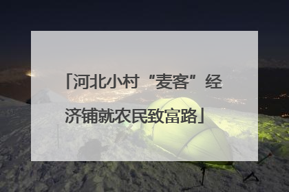 河北小村“麦客”经济铺就农民致富路