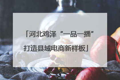 河北鸡泽“一品一播”打造县域电商新样板