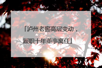 泸州老窖高层变动，履职十年董事离任