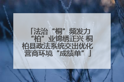 法治“桐”频发力 “柏”业锦绣正兴 桐柏县政法系统交出优化营商环境“成绩单”