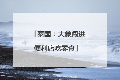 泰国：大象闯进便利店吃零食