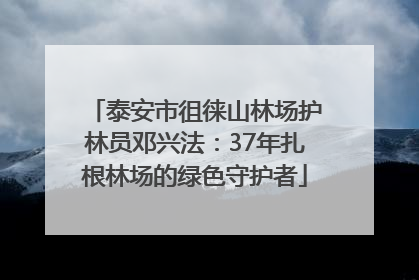 泰安市徂徕山林场护林员邓兴法：37年扎根林场的绿色守护者