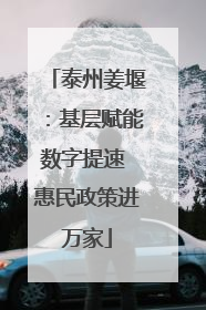 泰州姜堰：基层赋能数字提速 惠民政策进万家