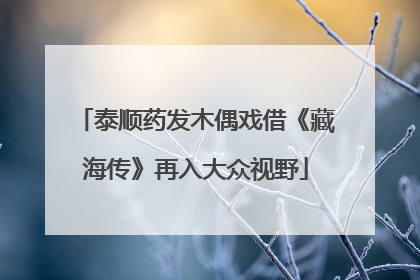 泰顺药发木偶戏借《藏海传》再入大众视野