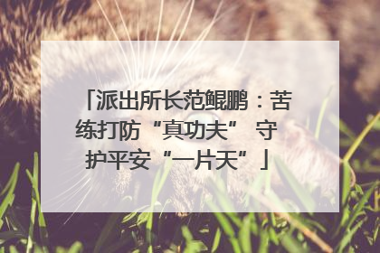 派出所长范鲲鹏：苦练打防“真功夫” 守护平安“一片天”