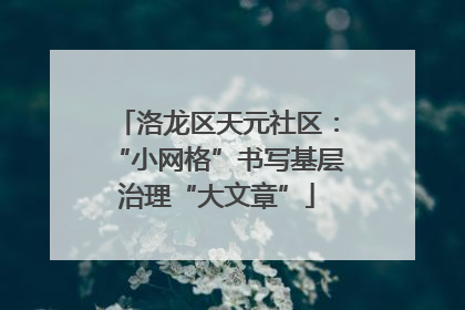 洛龙区天元社区：“小网格”书写基层治理“大文章”