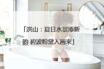 洪山：夏日水景添新韵 碧波粉黛入画来