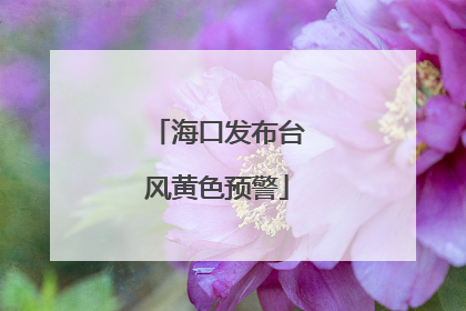 海口发布台风黄色预警