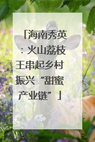 海南秀英：火山荔枝王串起乡村振兴“甜蜜产业链”