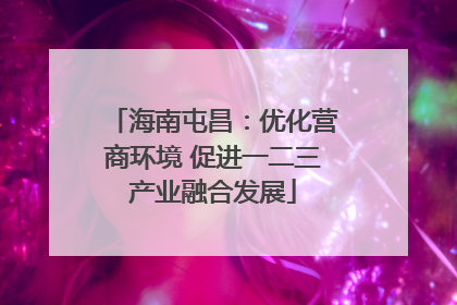 海南屯昌：优化营商环境 促进一二三产业融合发展
