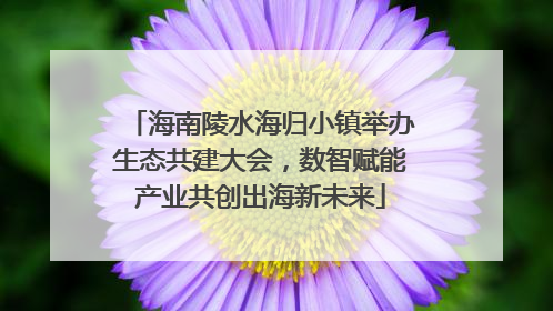 海南陵水海归小镇举办生态共建大会，数智赋能产业共创出海新未来