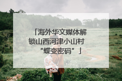 海外华文媒体解锁山西河津小山村“蝶变密码”