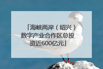 海峡两岸（绍兴）数字产业合作区总投资近600亿元