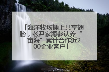 海洋牧场插上共享翅膀，老尹家海参认养“一亩海”累计合作近200企业客户