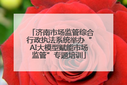 济南市场监管综合行政执法系统举办“AI大模型赋能市场监管”专题培训