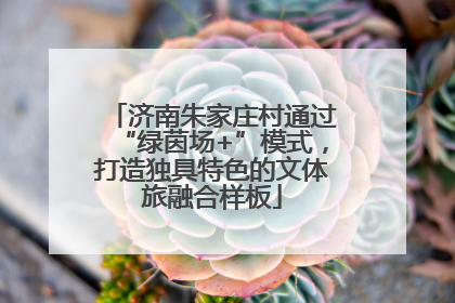 济南朱家庄村通过“绿茵场+”模式，打造独具特色的文体旅融合样板