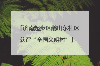 济南起步区鹊山东社区获评“全国文明村”