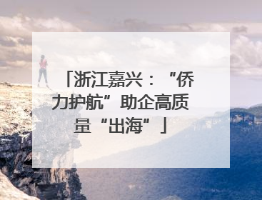 浙江嘉兴：“侨力护航”助企高质量“出海”