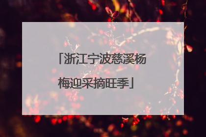 浙江宁波慈溪杨梅迎采摘旺季