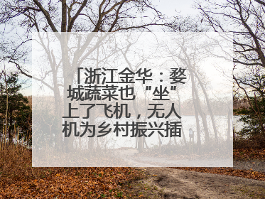 浙江金华：婺城蔬菜也“坐”上了飞机，无人机为乡村振兴插上“翅膀”