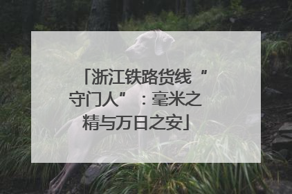 浙江铁路货线“守门人”：毫米之精与万日之安