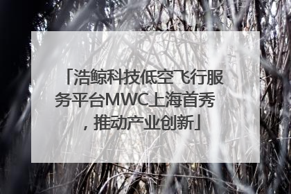 浩鲸科技低空飞行服务平台MWC上海首秀，推动产业创新