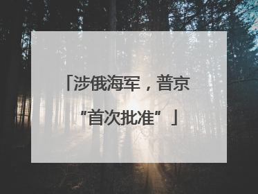 涉俄海军，普京“首次批准”