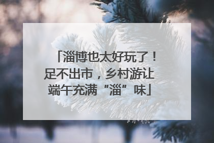 淄博也太好玩了！足不出市，乡村游让端午充满“淄”味