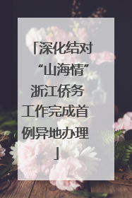 深化结对“山海情” 浙江侨务工作完成首例异地办理