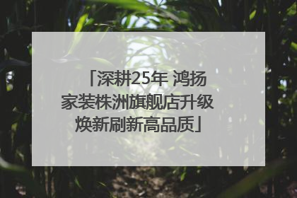 深耕25年 鸿扬家装株洲旗舰店升级焕新刷新高品质