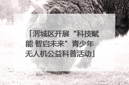 渭城区开展“科技赋能 智启未来”青少年无人机公益科普活动