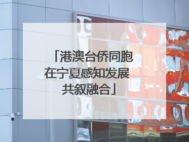 港澳台侨同胞在宁夏感知发展 共叙融合
