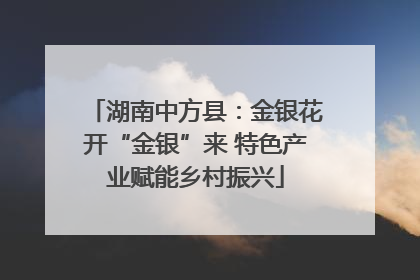 湖南中方县：金银花开“金银”来 特色产业赋能乡村振兴