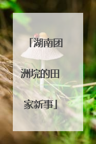 湖南团洲垸的田家新事