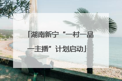 湖南新宁“一村一品一主播”计划启动