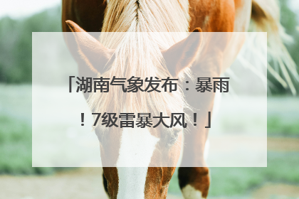 湖南气象发布：暴雨！7级雷暴大风！
