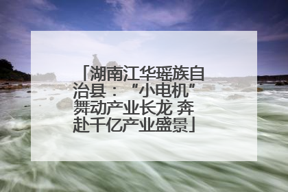 湖南江华瑶族自治县：“小电机”舞动产业长龙 奔赴千亿产业盛景