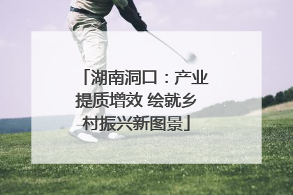 湖南洞口：产业提质增效 绘就乡村振兴新图景