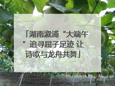 湖南溆浦“大端午”追寻屈子足迹 让诗歌与龙舟共舞