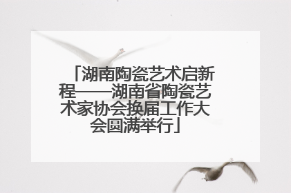湖南陶瓷艺术启新程——湖南省陶瓷艺术家协会换届工作大会圆满举行