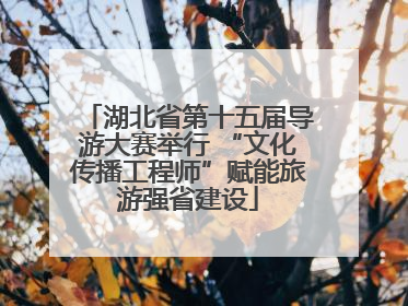 湖北省第十五届导游大赛举行 “文化传播工程师”赋能旅游强省建设