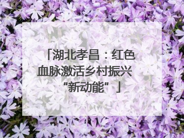 湖北孝昌：红色血脉激活乡村振兴“新动能”