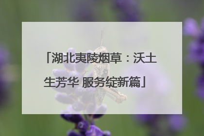 湖北夷陵烟草：沃土生芳华 服务绽新篇