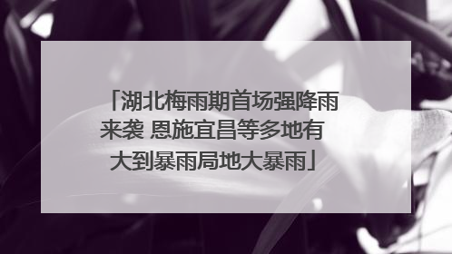 湖北梅雨期首场强降雨来袭 恩施宜昌等多地有大到暴雨局地大暴雨