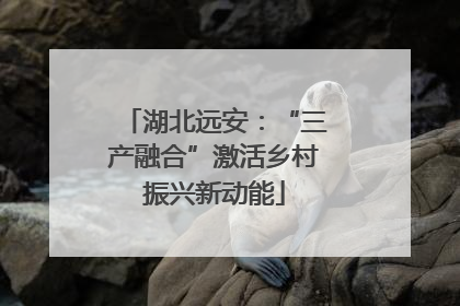 湖北远安：“三产融合”激活乡村振兴新动能